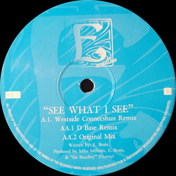 Emilee See What I See Vinyl 12" USED