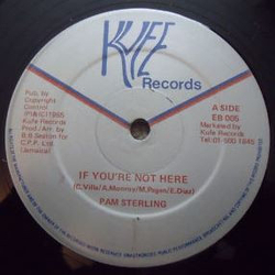 Pam Sterling If You're Not Here Vinyl 12" USED