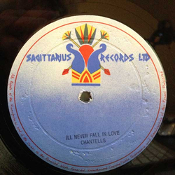 The Chantells I'll Never Fall In Love Vinyl 12" USED