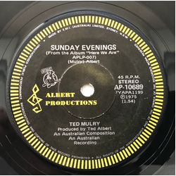 Ted Mulry Sunday Evenings Vinyl 7" USED