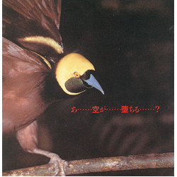 YBO² 空が堕ちる！ Vinyl 7" USED