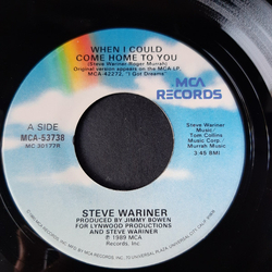 Steve Wariner When I Could Come Home To You Vinyl 7" USED