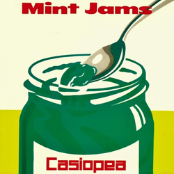 Casiopea Mint Jams Vinyl LP USED