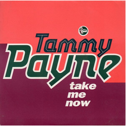 Tammy Payne Take Me Now Vinyl 7" USED
