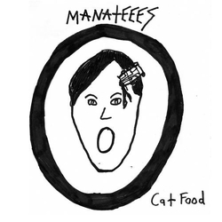 Manateees Cat Food Vinyl 7" USED