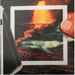The Thermals We Disappear Vinyl LP USED