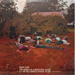 Deer Leap / The World Is A Beautiful Place & I Am No Longer Afraid To Die Are Here To Help You Vinyl LP USED