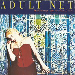 Adult Net Waking Up In The Sun Vinyl 7" USED