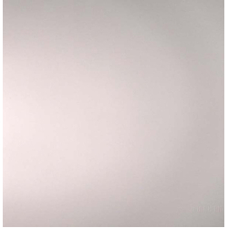 Zomby Nothing Vinyl 12" USED
