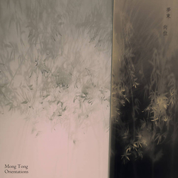 Mong Tong Orientations Vinyl LP USED