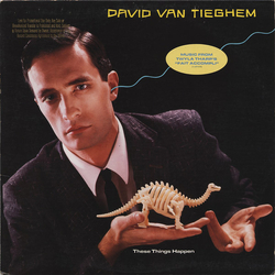 David Van Tieghem These Things Happen Vinyl LP USED