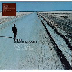 Echo & The Bunnymen What Are You Going To Do With Your Life? Vinyl LP USED
