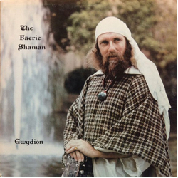 Gwydion PenDerwyn The Fäerie Shaman Vinyl LP USED