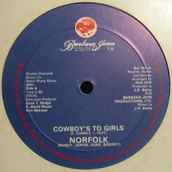 Norfolk / The Norfolk Orchestra Cowboy's To Girls Vinyl 12" USED