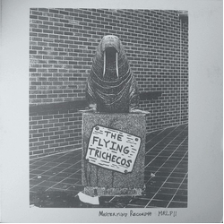 Flyin' Trichecos Flying Trichecos Vinyl 12" USED