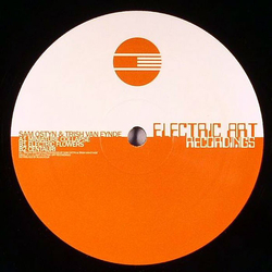 Sam Ostyn & Trish Van Eynde Miniature Collapse Vinyl 12" USED