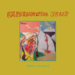 Tomorrows Tulips Experimental Jelly Vinyl LP USED