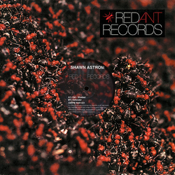 Shawn Astrom Cel-Shaded Vinyl 12" USED