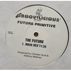 Future Primitive (2) The Future Vinyl 12" USED