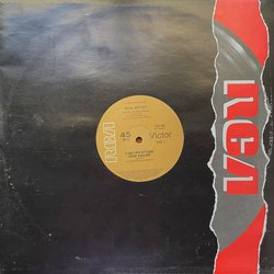 Rick Astley Never Gonna Give You Up Vinyl 12" USED