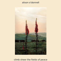 Alison O'Donnell Climb Sheer The Fields Of Peace Vinyl LP USED