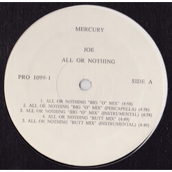 Joe All Or Nothing VINYL 12" USED
