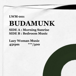 BudaMunky Morning Sunrise / Bedroom Music Vinyl 7" USED