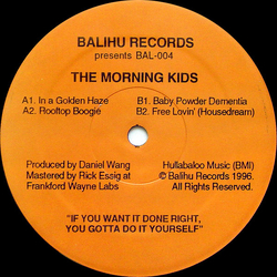 The Morning Kids In A Golden Haze Vinyl 12" USED