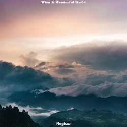 Negicco What A Wonderful World Vinyl LP USED