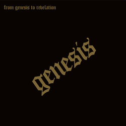 Genesis From Genesis To Revelation Vinyl LP USED