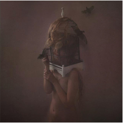 The Dear Hunter Migrant Vinyl LP USED
