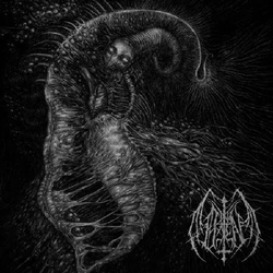 Ill Omen Divinity Through Un-Creation Vinyl LP USED