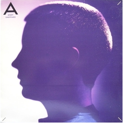Andy Sheppard Andy Sheppard Vinyl LP USED