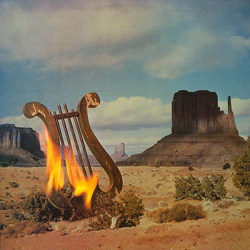 Lyres On Fyre Vinyl LP USED