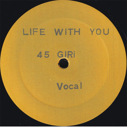 Expansives Life With You Vinyl 12" USED