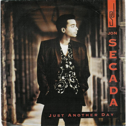 Jon Secada Just Another Day Vinyl 7" USED