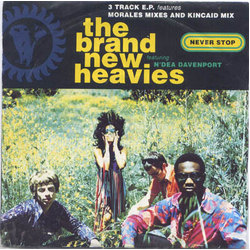 The Brand New Heavies / N'Dea Davenport Never Stop Vinyl 7" USED