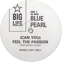 Blue Pearl (Can You) Feel The Passion Vinyl 12" USED