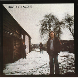 David Gilmour David Gilmour Vinyl LP USED