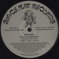 Steal Vybe Grooves & Melodies EP Vinyl 12" USED