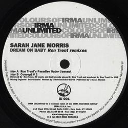 Sarah Jane Morris Dream On Baby (Ron Trent Remixes) Vinyl 12" USED