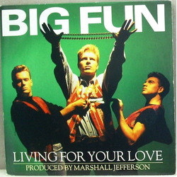 Big Fun Living For Your Love Vinyl 7" USED