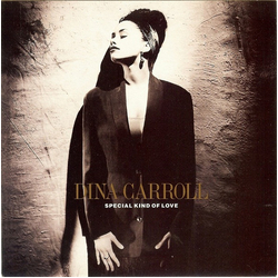 Dina Carroll Special Kind Of Love Vinyl 7" USED