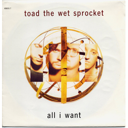 Toad The Wet Sprocket All I Want Vinyl 7" USED