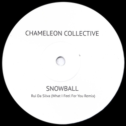 Chameleon Collective / Rui Da Silva Snowball (Rui Da Silva What I feel For You Remix) Vinyl 12" USED