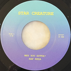 Raf Reza Why You Gotta? / Pineapple Island Vinyl 7" USED