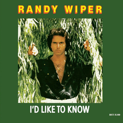 Randy Wiper I'd Like To Know Vinyl 12" USED