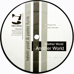 Kevin Yost & Peter Funk Another World Vinyl 12" USED