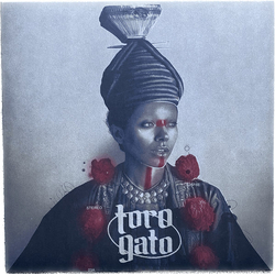 Toro Gato Toro Gato Vinyl LP USED