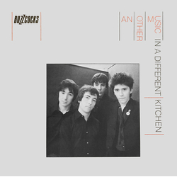 Buzzcocks Another Music In A Different Kitchen Vinyl LP USED